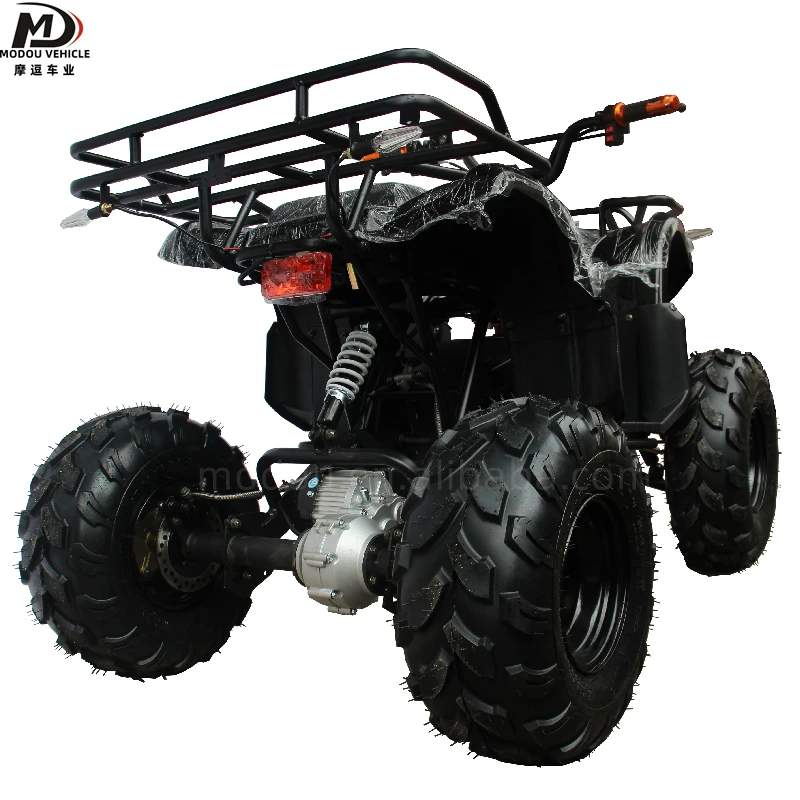 Adult children electric ATV 500W small atv entertainment