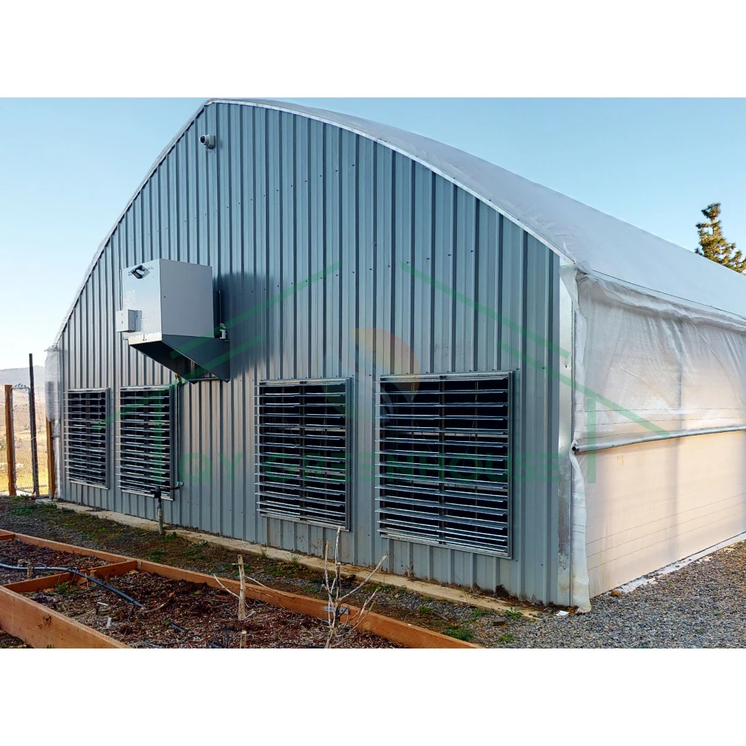 32m*24m Multi-Span Film Light Deprivation Greenhouse Blackout Greenhouse