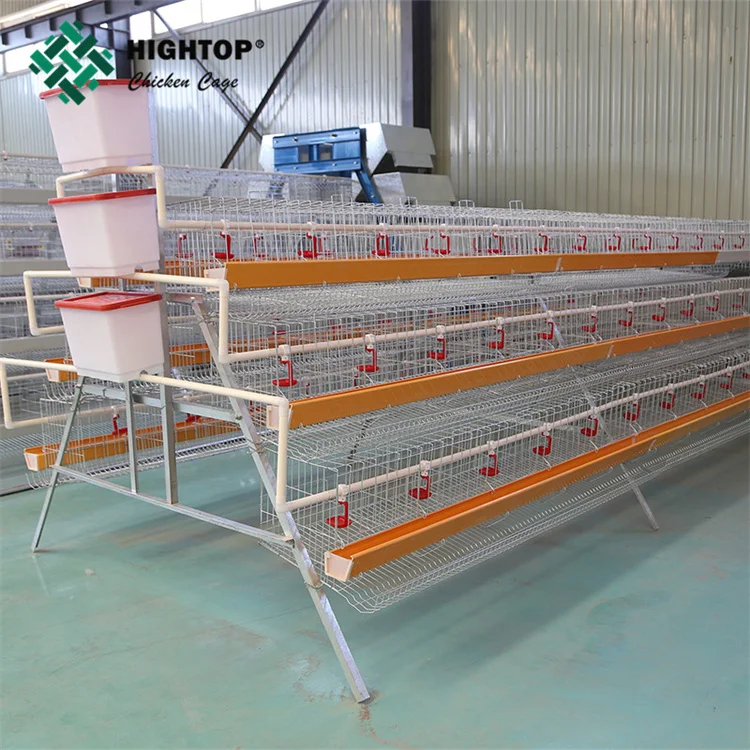 Hightop Poultry Farming a Type Live Chicken  Layers Cage