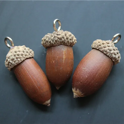 Dry Flowers  Big Acorn for Handmade DIY Material  Christmas Tree Hanging Decoration and Interior Hanging Decoration