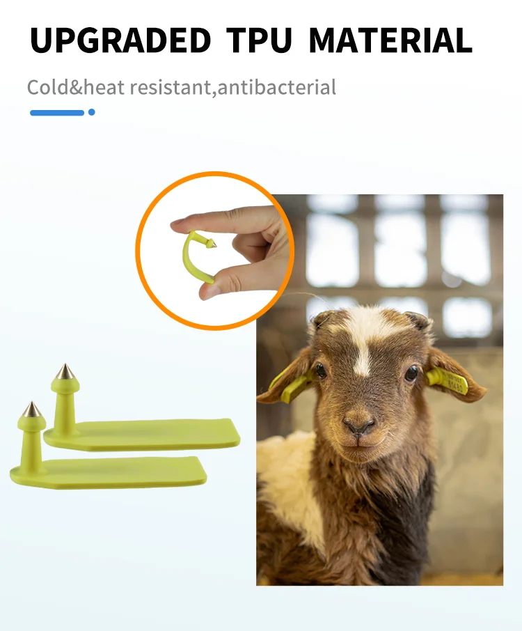 TPU E-013 RFID Livestock Sheep Ear Tags Engraved Marking Cattle Smart Tag For Sheep Pig Cattle