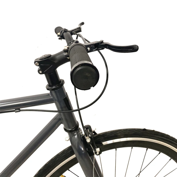 2024 full black color Hi-ten steel fixie frame single speed 700c fixie bike unisex lightweight fixed gear bicycle for men