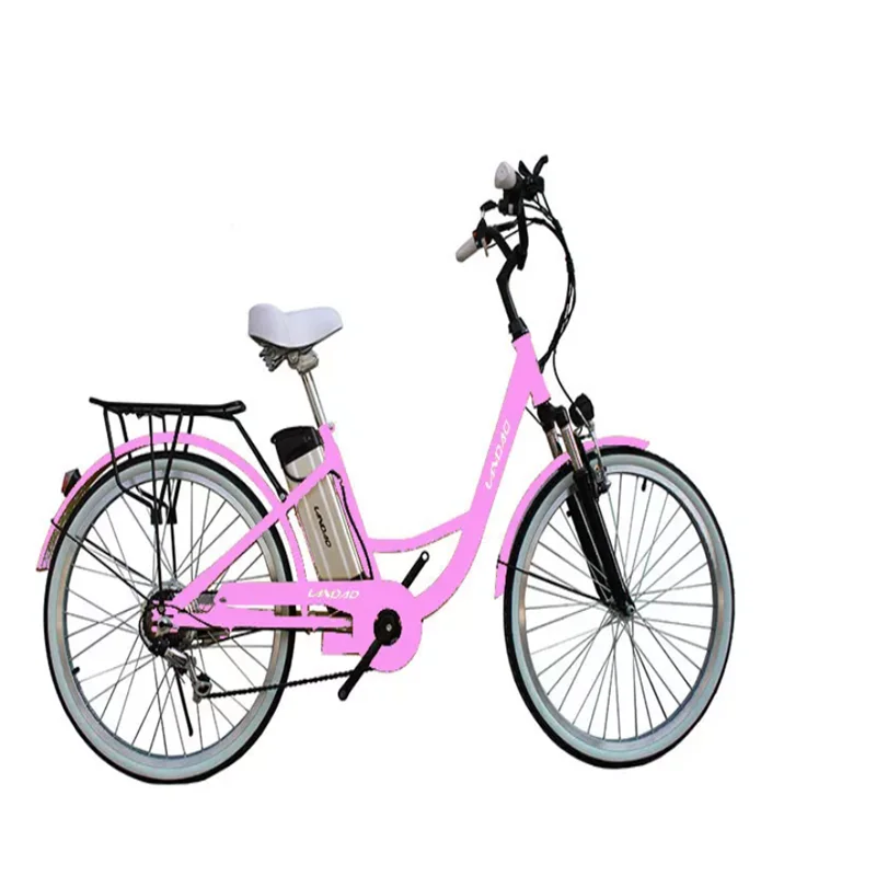 26 Inch Mountain E Bike Mtb E Bike Europe/best Electric Bike for Hills Standard 36V 250W Can Assemble in China and Europe