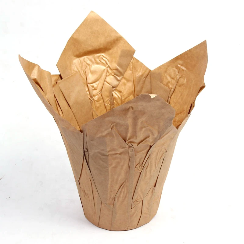 Лидер продаж уникальный стиль кастрюля для растений из крафт-бумаги китайский поставщик крышка комнатных и уличных цветов