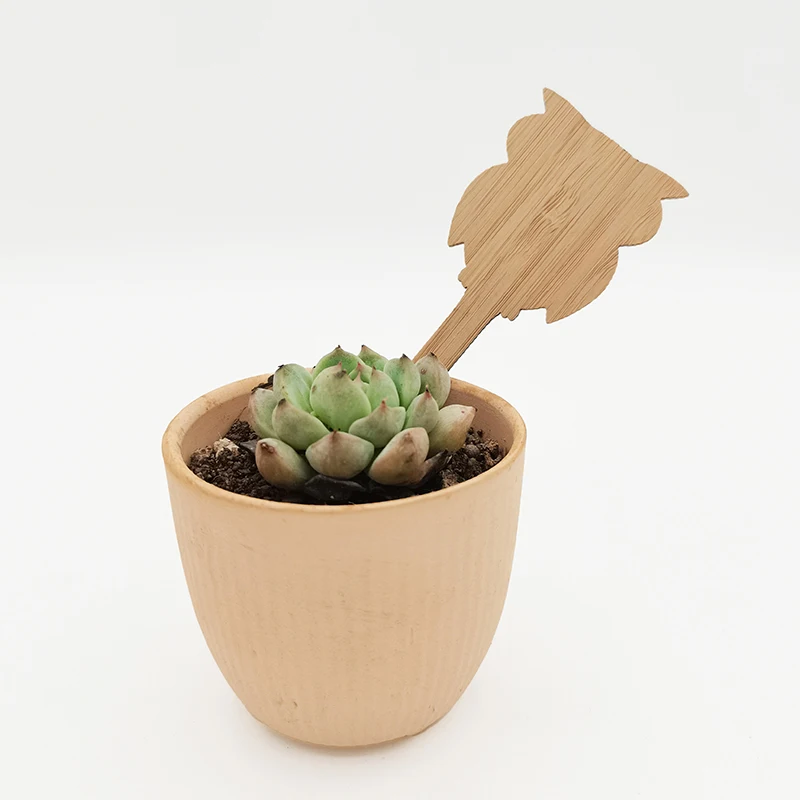 Custom Garden Label Bamboo Wood Laser Cutting Tag Bamboo Material Eco Bamboo Plant Tag Cute Plant Tags Garden Markers