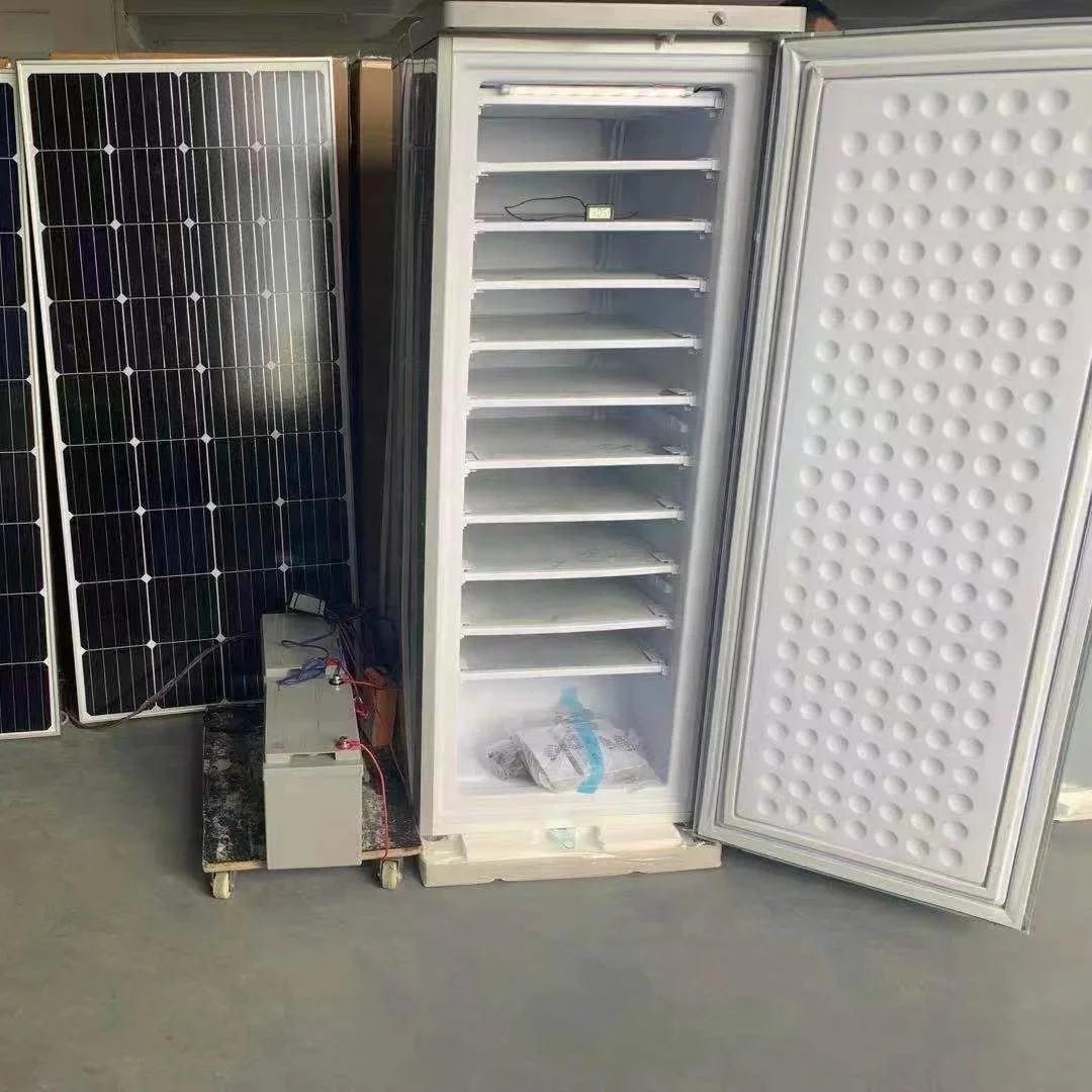 198L DC 24V ice block upright freezer business solar panel gel battery DIY Inflated plate fast frozen solar ice machine