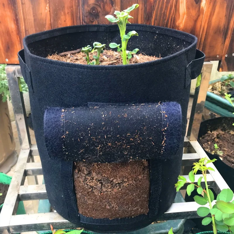 
sweet potato planter geo fabric grow bag 