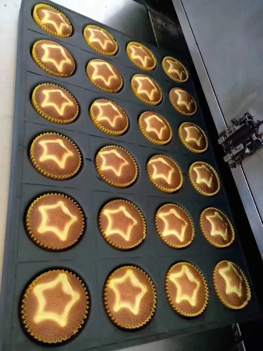 Wanli Automatic Sponge Cakes Depositor Machine For Cake Coating