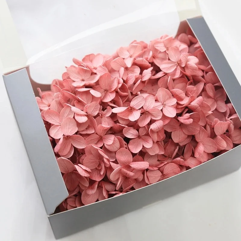 wholesale pink hydrangea flower fresh cut flower preserved hydrangea for hydrangea flowers wedding