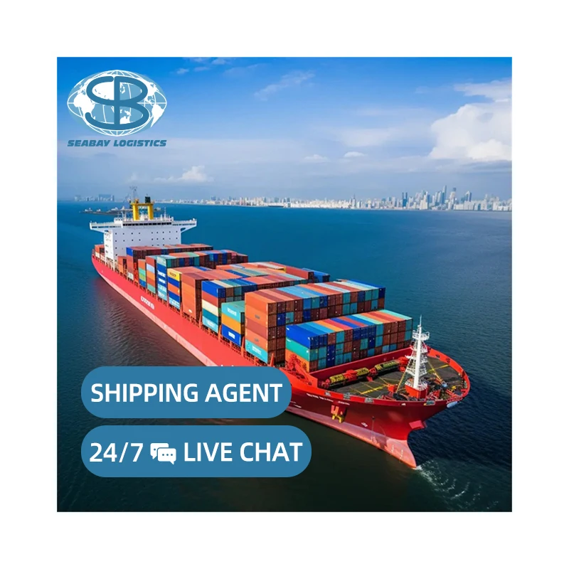 Door To Door Cheap Shipping DDP Service China To Dubai Sea Shipping Logistics Company