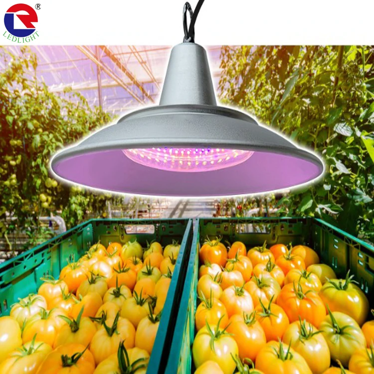 50W greenhouse fill light vegetable melon strawberry tomato grape photosynthesis LED full spectrum plant grow light