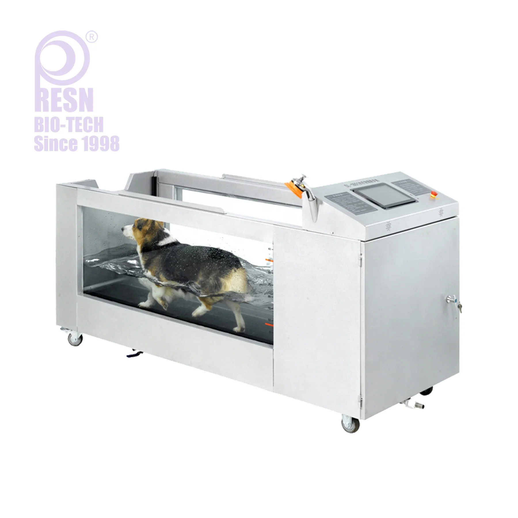 
Pet health care equipment dog treadmill under water treadmill 