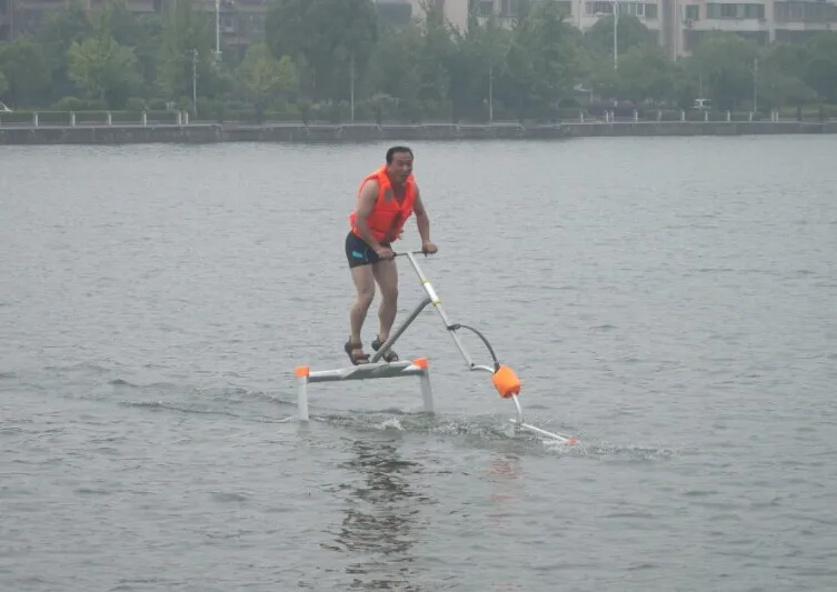 
Cheapest adults water play equipment waterbird waterskipper for whole sales 