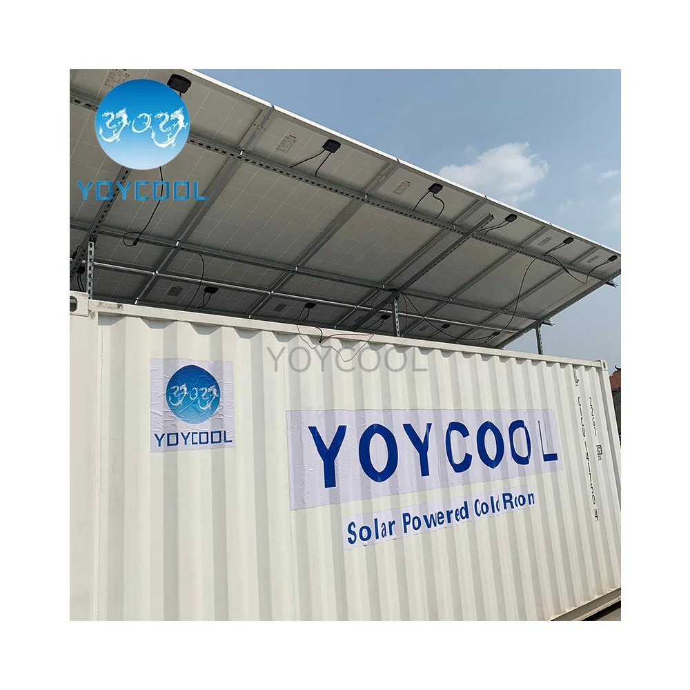 20ft 40ft container cold room walk in cooler room solar powered for banana chicken  freezers cold room with solar system