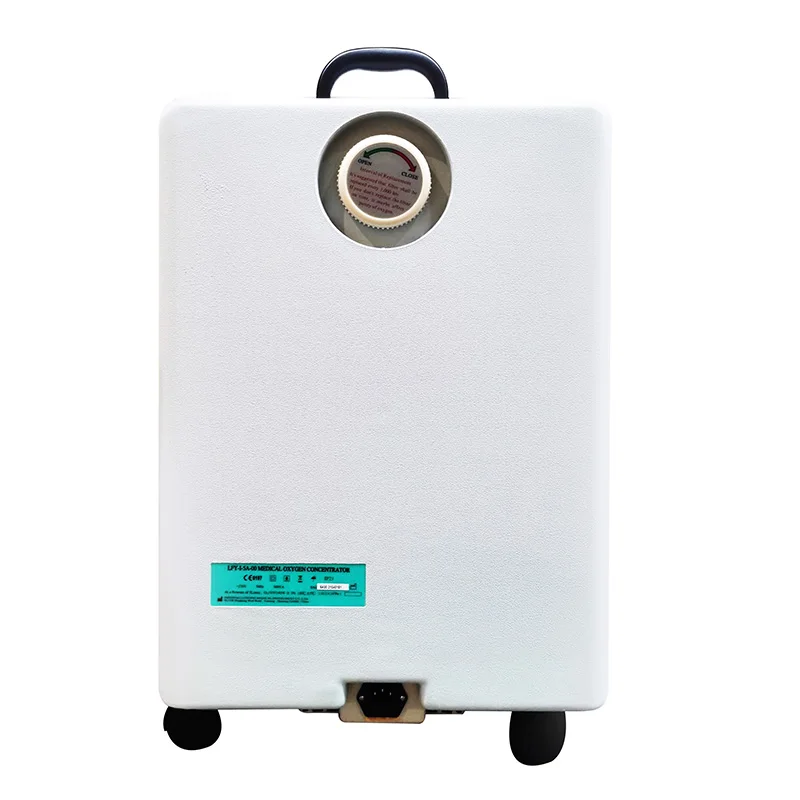 factory price cheap 10 Liter Dual Flow Oxygen generator Hospital Home Use 20l Portable Oxygen-concentrator Machine Medical Grade