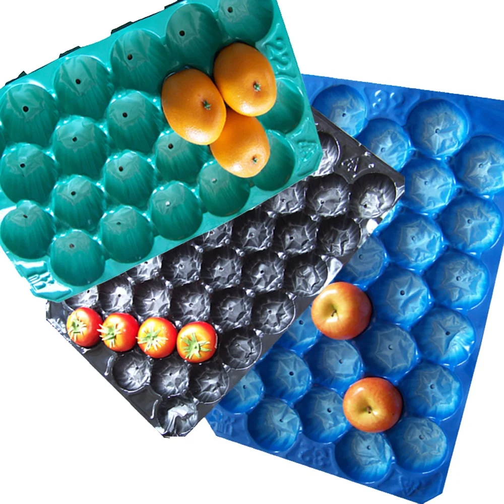 Approved Wholesale PP PET Disposable Avocado Inset Serving Tray