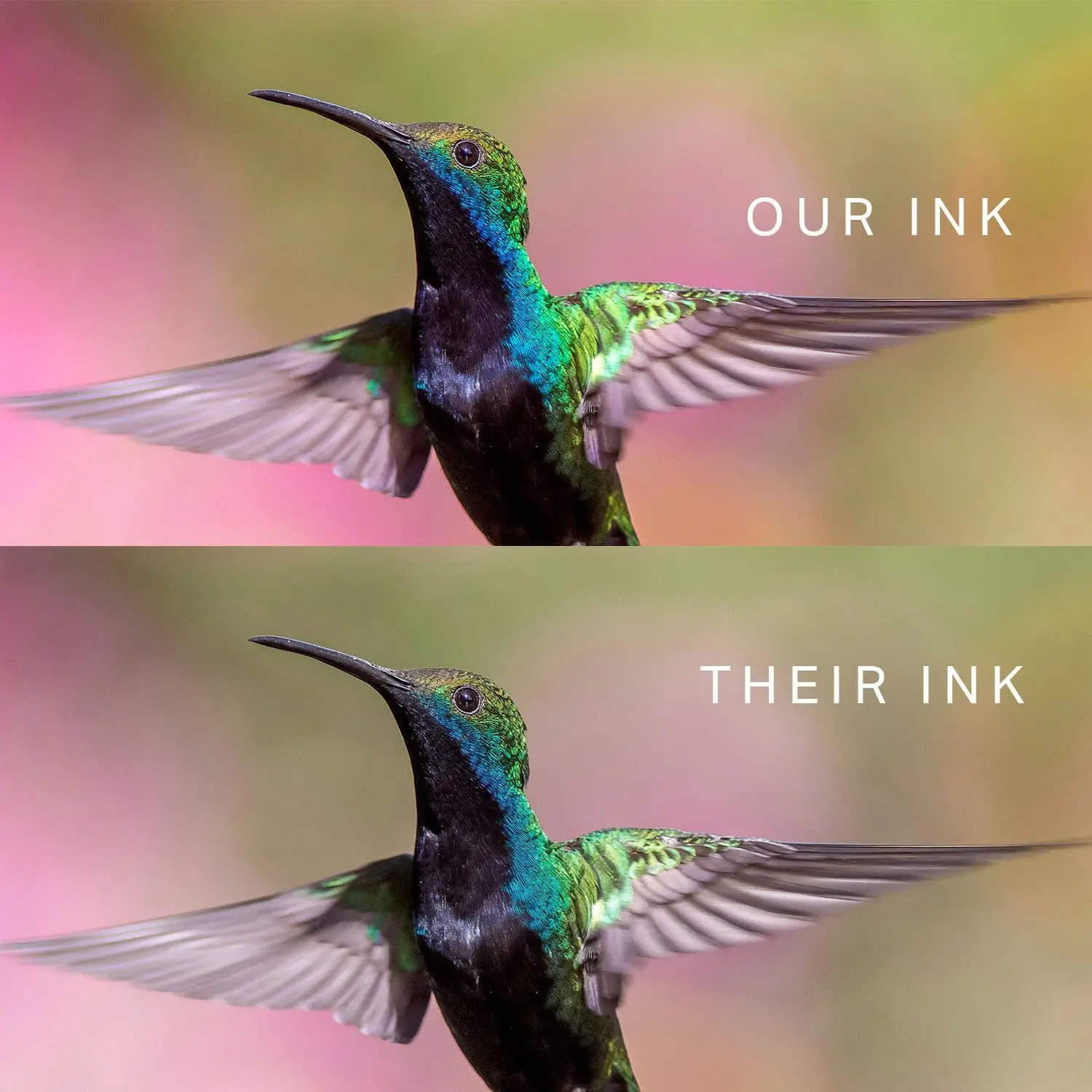 Чернила Inkbank 70 мл/бутылка для заправки красителей Epson Ink 664 L380 Printer L565 672 L310 L805 L360