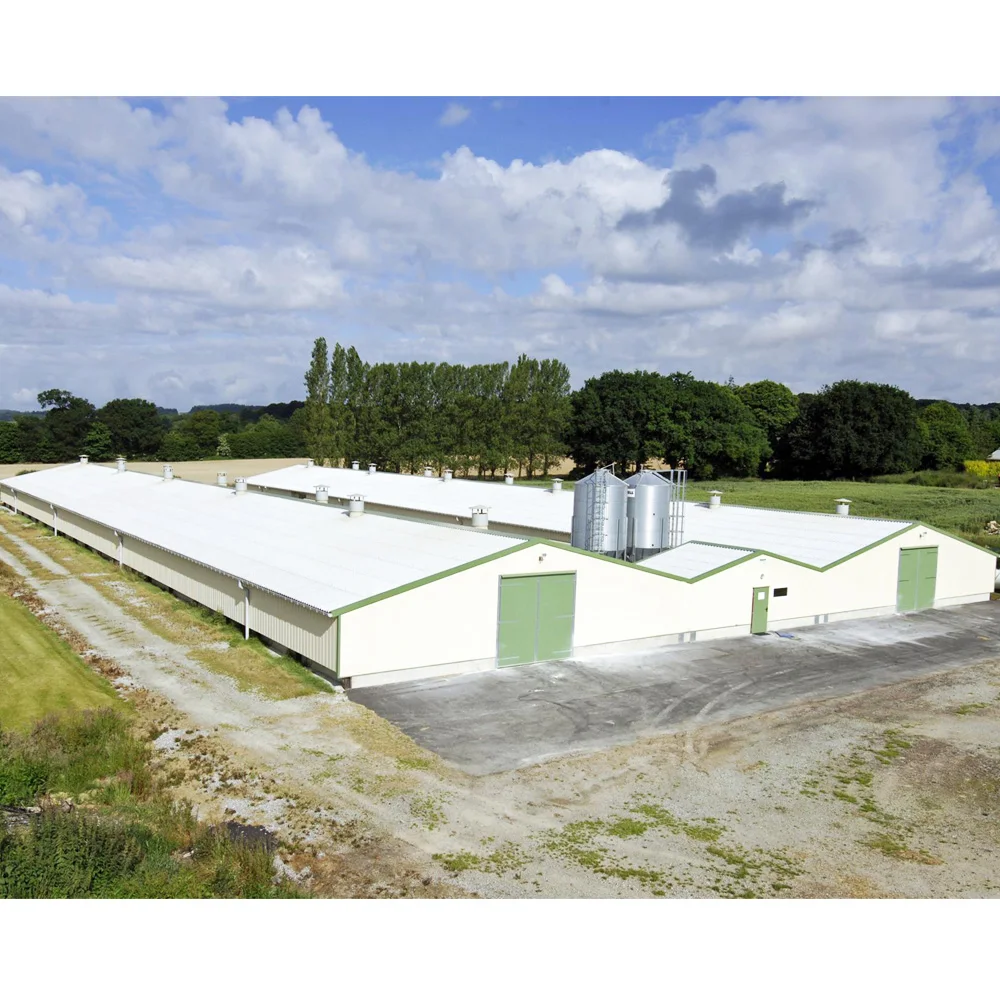 Low Cost Steel Prefabricated Barn Build Chicken House Designs Farm Building