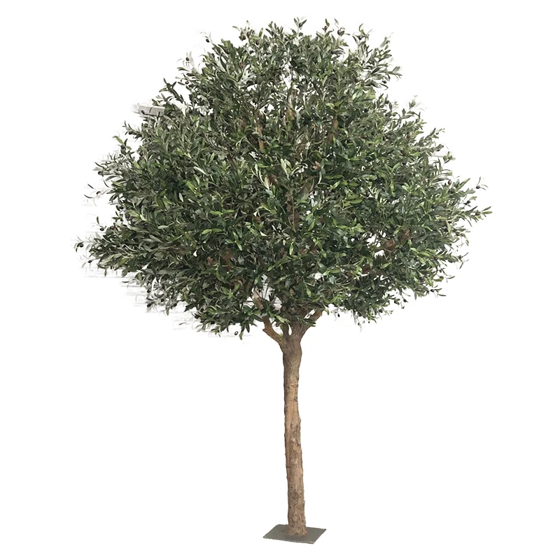GSGLS001 Strongly recommend olive tree wood trunk plastic branch for indoor decoration artificial olive tree