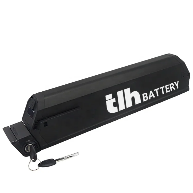 Customized Capacity 48v 1000w electric bike reention dorado plus 48v ebike battery