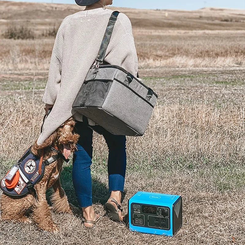 Сумка для переноски туристической электростанции, 1000 Вт, 500 Вт, 300 Вт