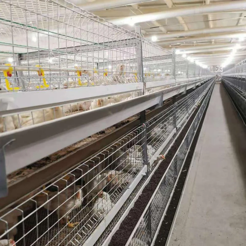 Steel Chicken Farming Prefab House Complete Solutions Automatic Layer Broiler Poultry Cage System Multifunctional Egg Chicken