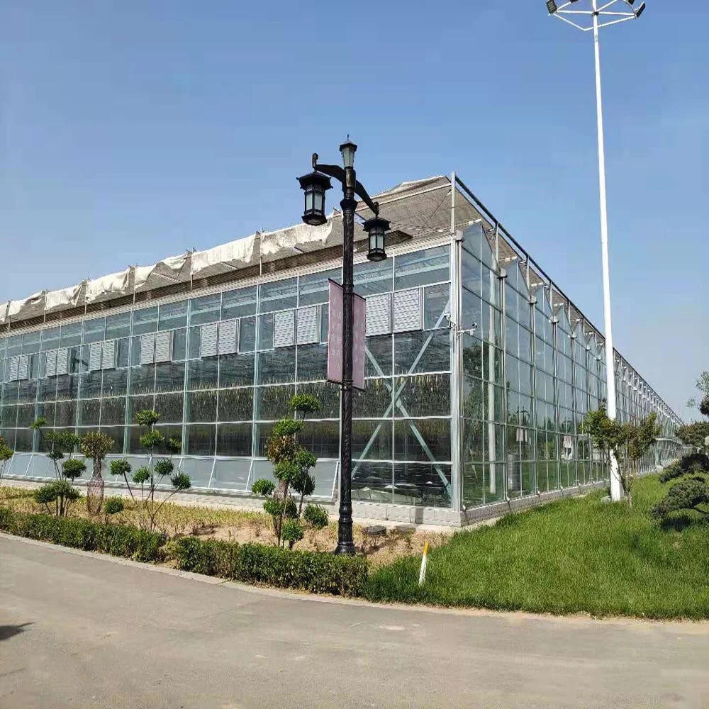 Intelligent Multi-Span Agricultural/Commercial Greenhouse with hydroponics system