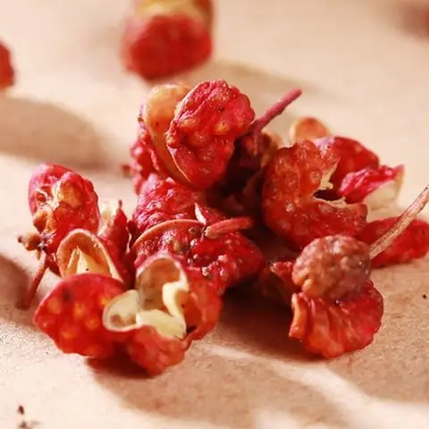 Chinese Original Wholesale Factory Supplier Spices Peppercorn Sichuan Red Pepper