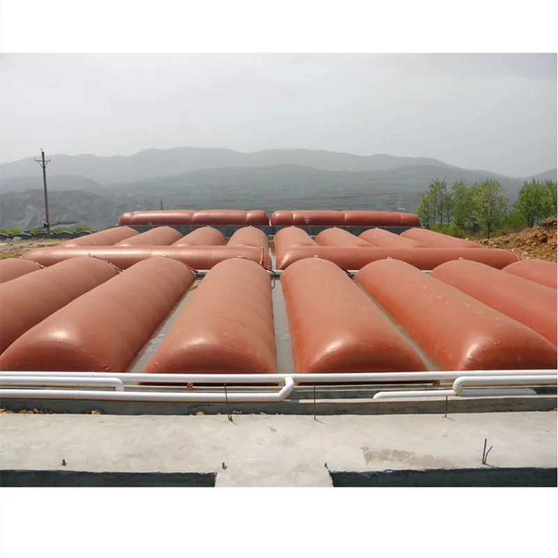 biogas plant for electricity biogas storage balloon bag equipment system bio digester for pig cow farm biogas conversion kit