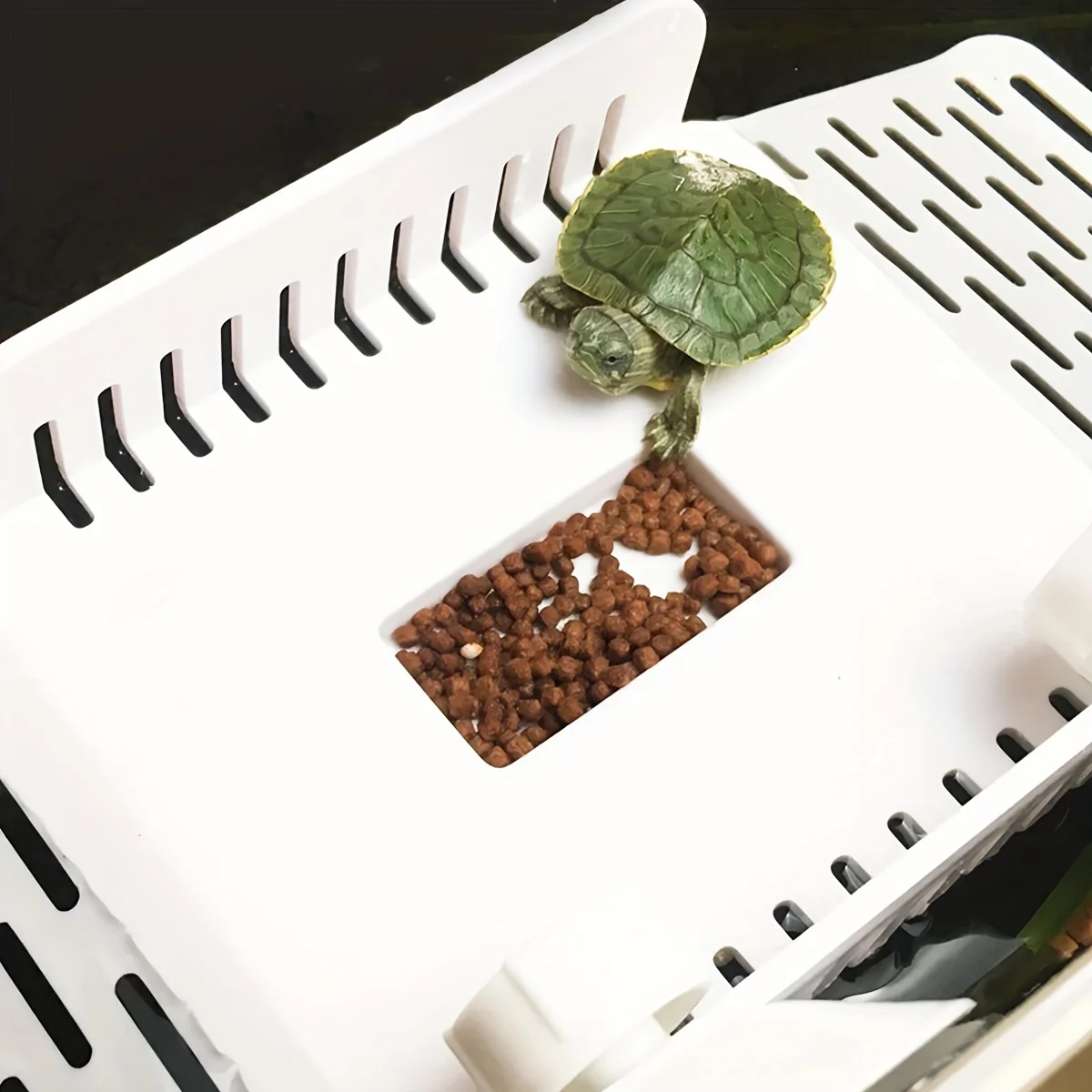 Turtle Basking Platform with Suction Cup Water Turtle Terrace Tortoise Tank Drying Rest Platform Aquariums & Accessories