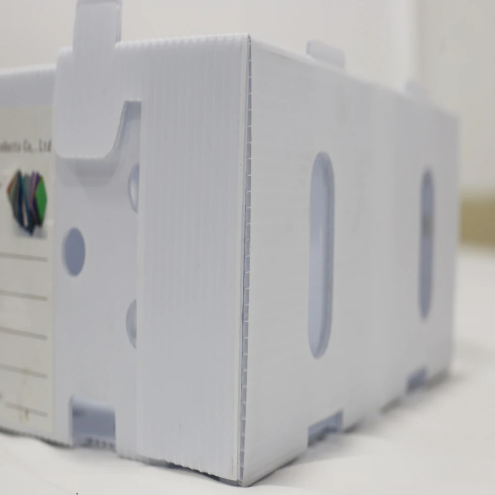 custom polypropylene sweet corrugated corn plastic boxes