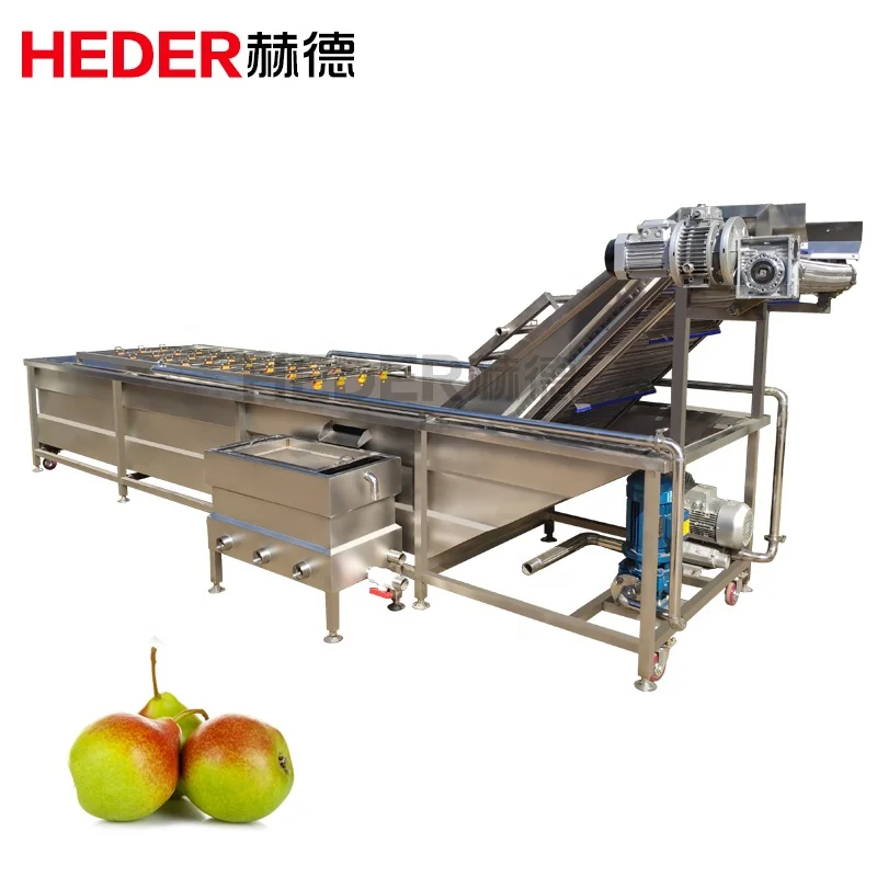 Industrial dragon fruit bubble vegetable washing machine with lifter conveyor line