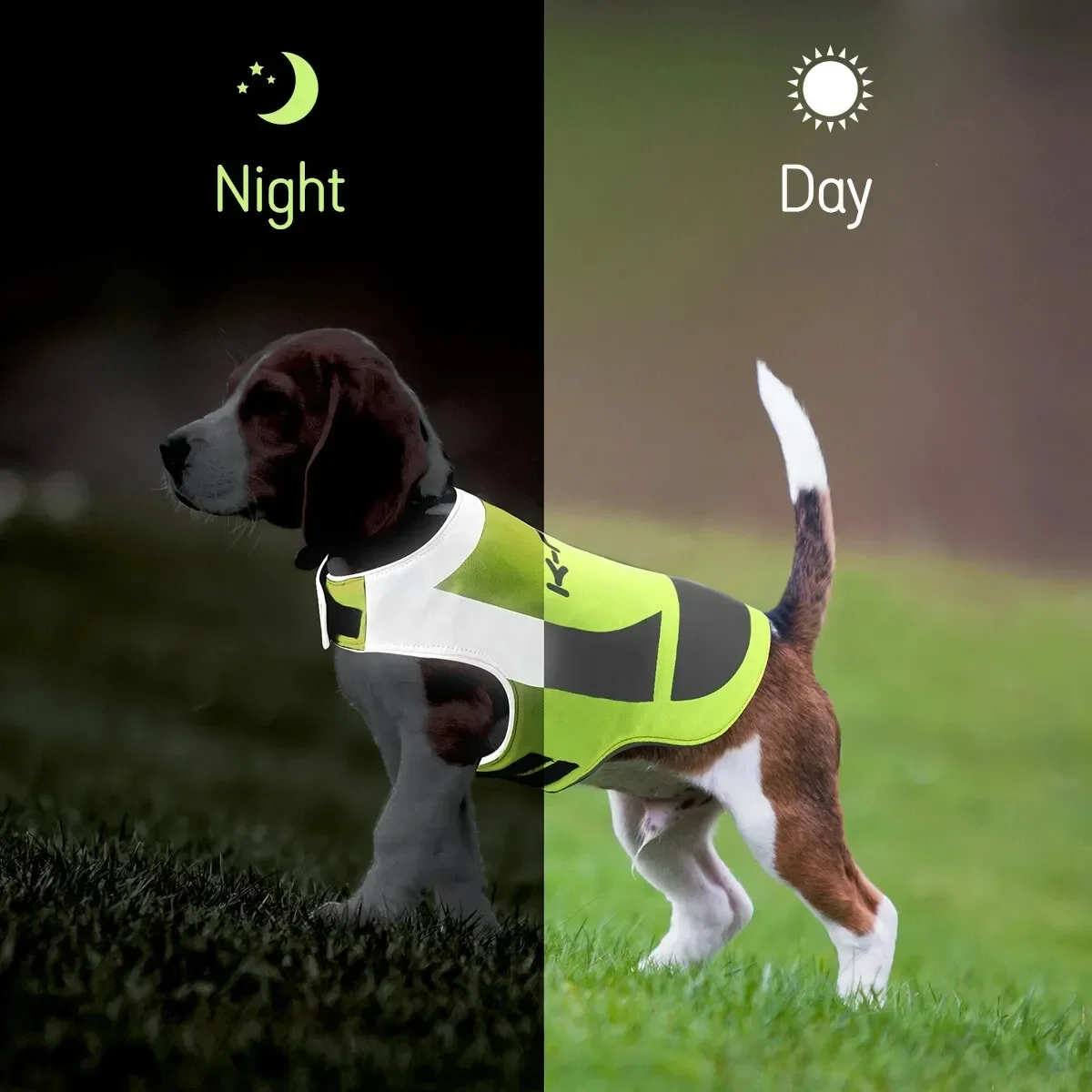 AFP New Arrival Night Outdoor Walking Lights Up Pet Product Glowing In The Dark Flashing Leash Harness Dog Chew Ball Flyer Stick