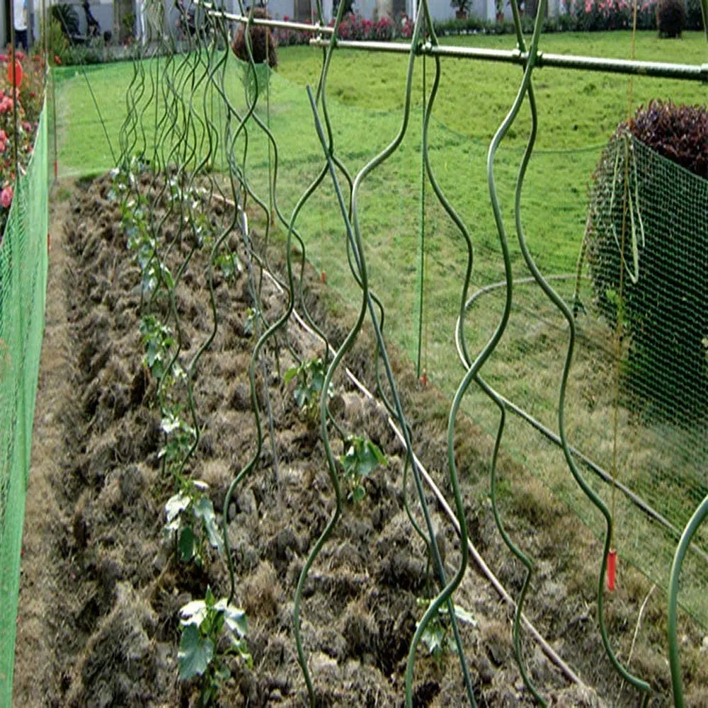 Online Shop Hot Selling Tomato Wire Stakes Tomato Spiral Plant Support for Garden Planting