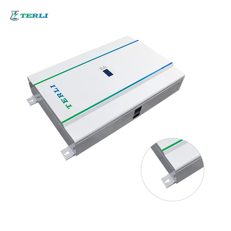 Terli Rechargeable 48v Lifepo4 Lithium Ion Battery 100ah 150ah 200ah  Powerwall 2 For Sale 50aH