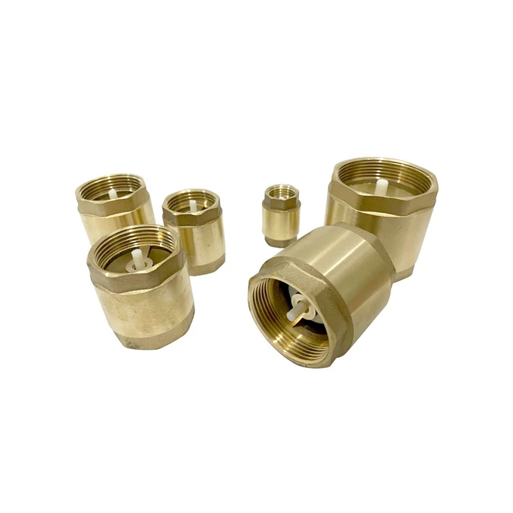 Support samples Thread Brass Water Vertical Spring Stainless Non Return Valve