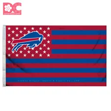 Buffalo Bills 17.jpg