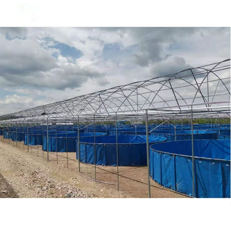 RAS indoor fish shrimp farming equipment Ras indoor recirculating aquaculture system equipment,indoor fish farm for high density