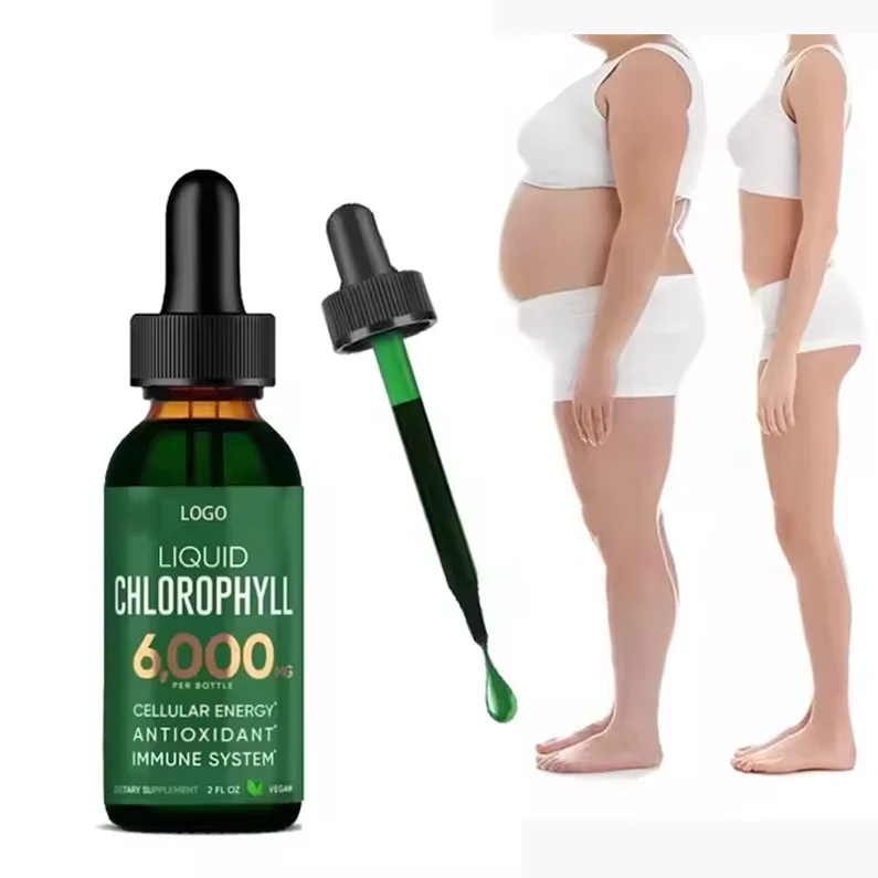 OEM Bulk Chlorophyll Drop Organic Vegan Splina Water Mint Flavor 6000mg Chlorophyll Liquid for Detox Cleanse