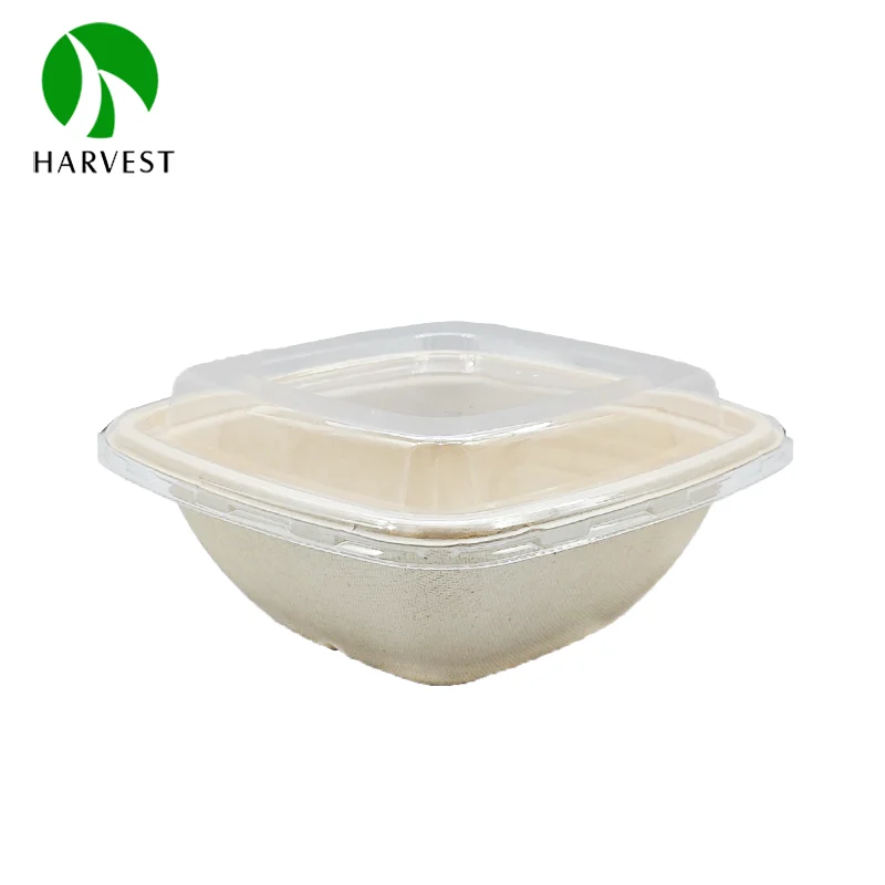 350ml 500ml sugarcane bagasse pulp wholesale take out square food container