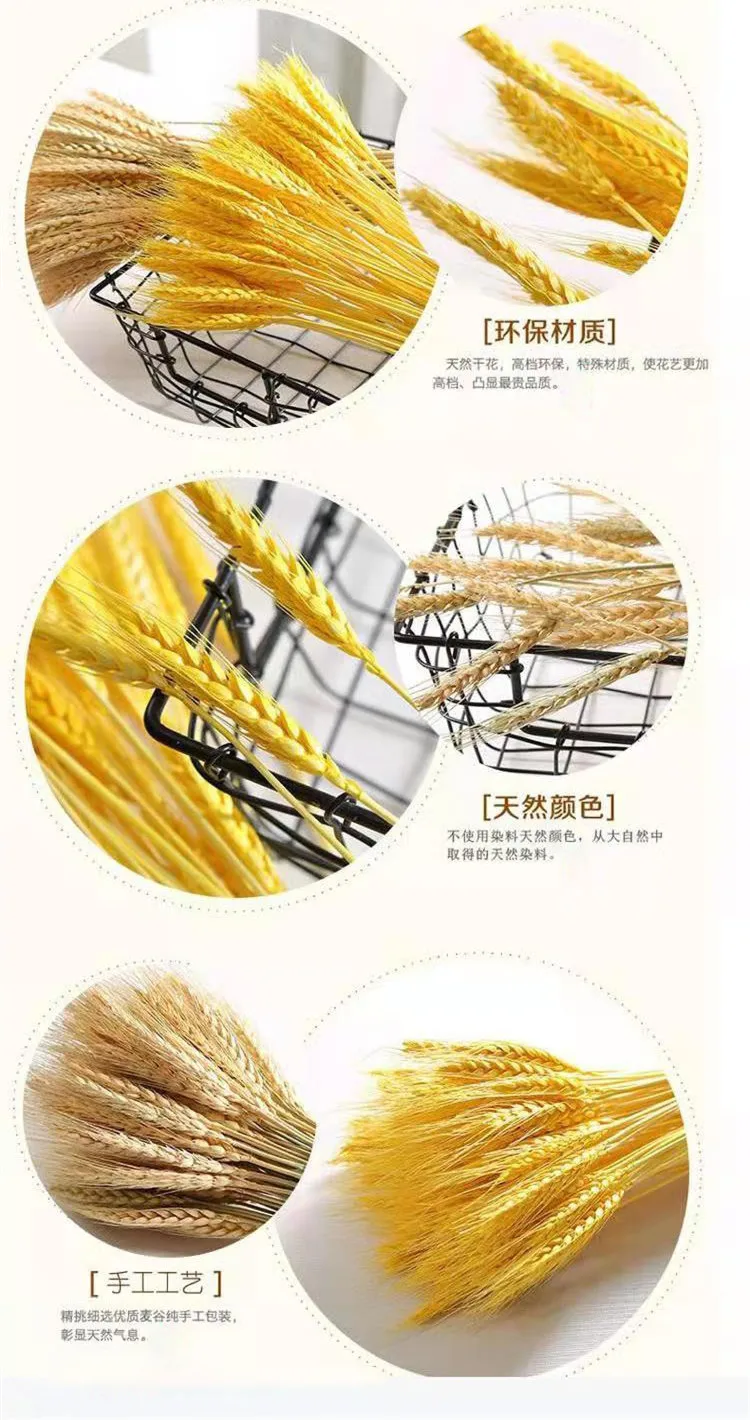 Hot Selling High Quality Natural Dried Wheat Grain Stalks Flowers For Wedding Home Kitchen Table Craft Decoration
