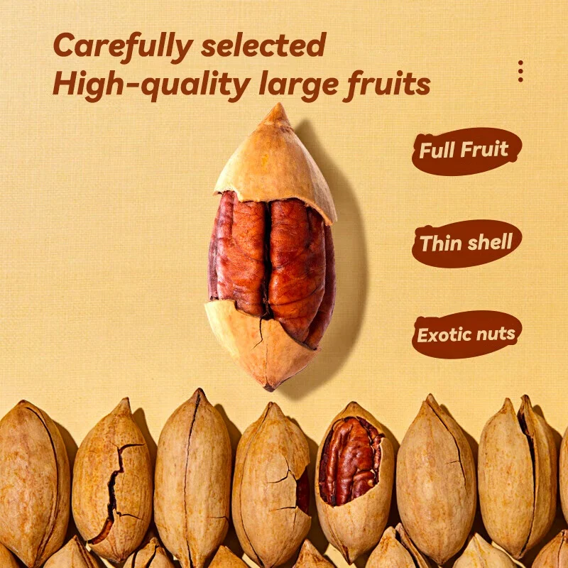 Low Price Wholesale 500g Pecan Pistachio Pecan Nuts Raw 100%Natural Pecan Nuts Dried Fruit