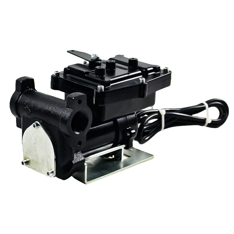 Electric DC12V/24V Explosion-Proof Petrol Fuel Dispenser Diesel Gasoline Transfer Pump