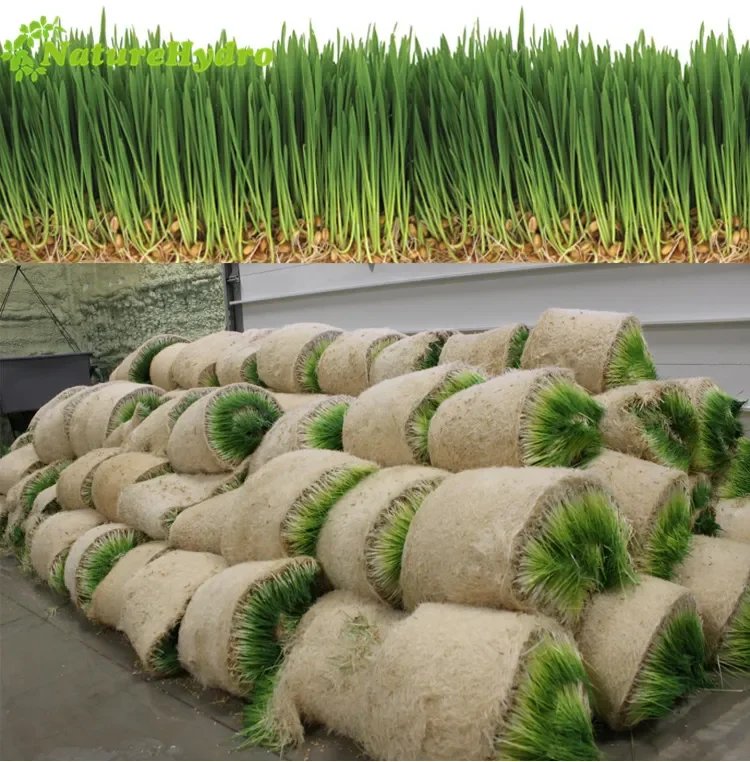 Factory Price Automatic animal fodder UPVC system/ hydroponic growing system with green trays