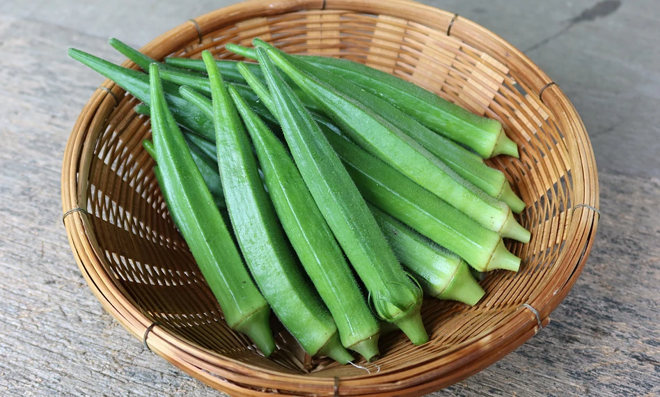 FRESH OKRA WITH EXCELLENT PRICE AND HIGH QUALITY FOR EXPORTING FROM VIETNAM