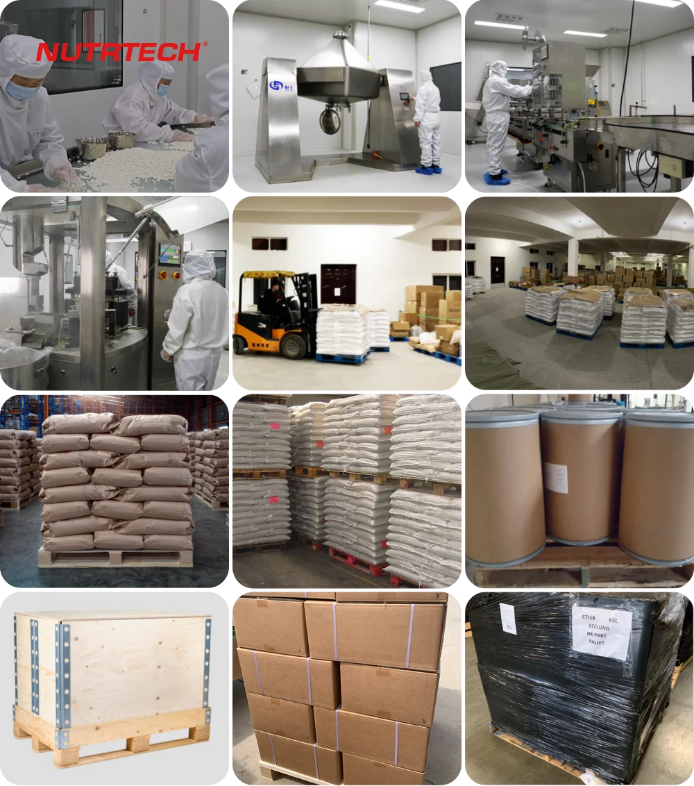 Factory Supply High-Quality CAS 302-72-7 DL-Alanine for Enhanced Energy
