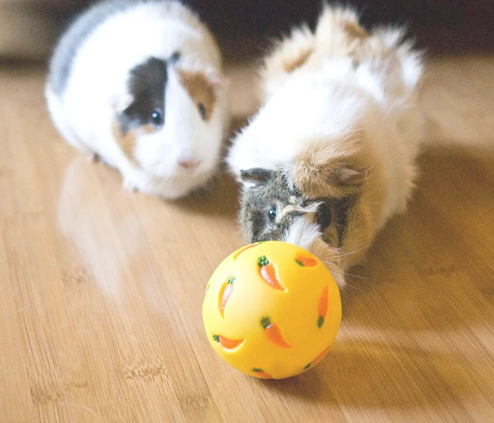 Adjustable switch Pet Slow Feeder Toy Interactive Treat Ball Cat Toys Food Dispenser  Chew Toy for small animals