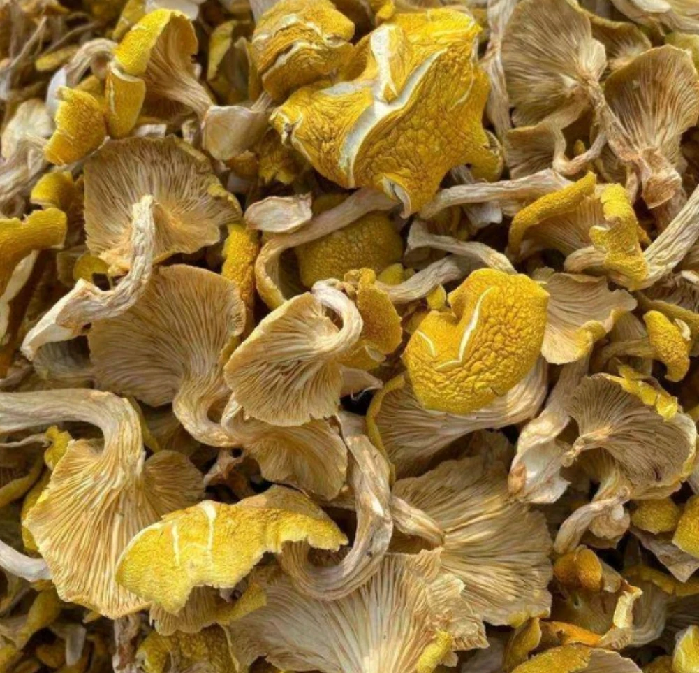 Import and export dried yellow mushroom, manufacturer sales