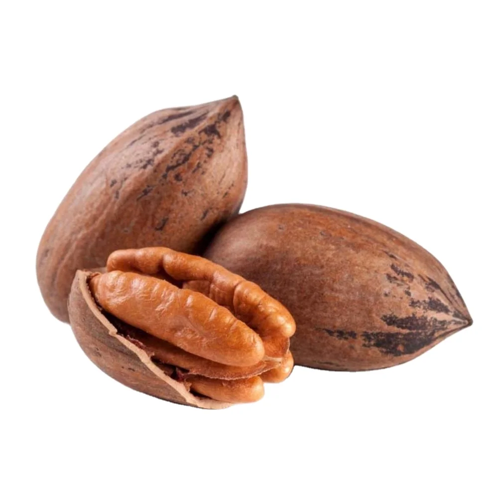 Pecan Nut Roasted Salted Pecans/Raw Nuts With Shell