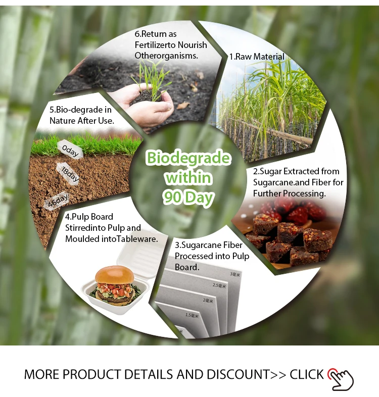 Biodegradable Sugarcane Bagasse Small 2 oz And 4 oz Cup Disposable Sauce Ice Cream Cup With Lid